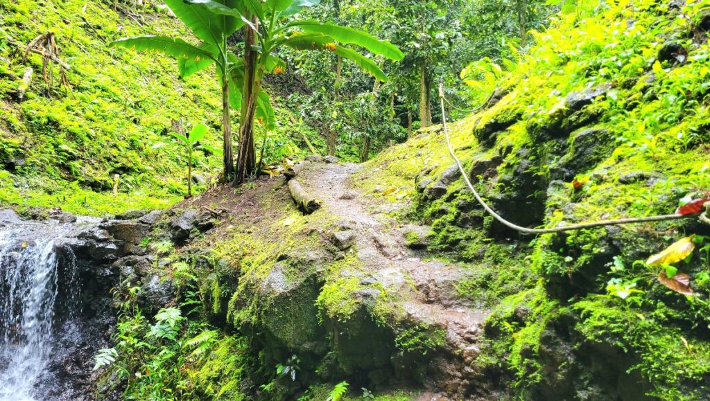 Hiking Water gardens Vaipahi