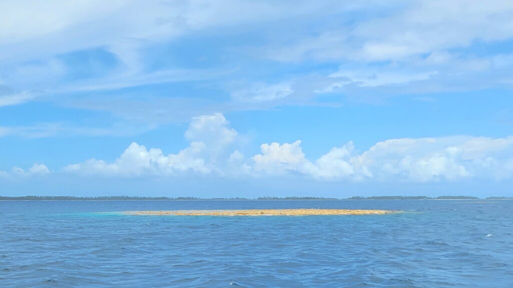 Dodging bommies is a danger when cruising The Tuamotus