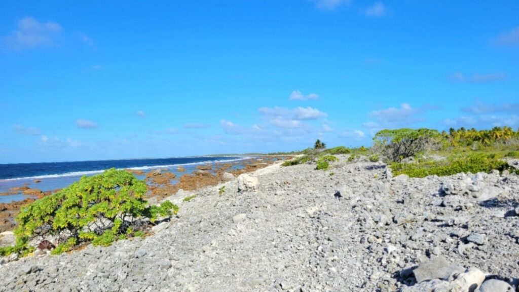 rocky coral reef island