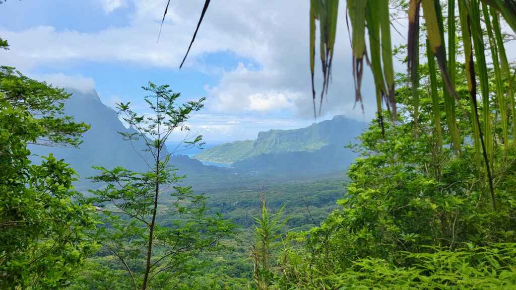 Mountain views, Moorea, Best of French Polynesia