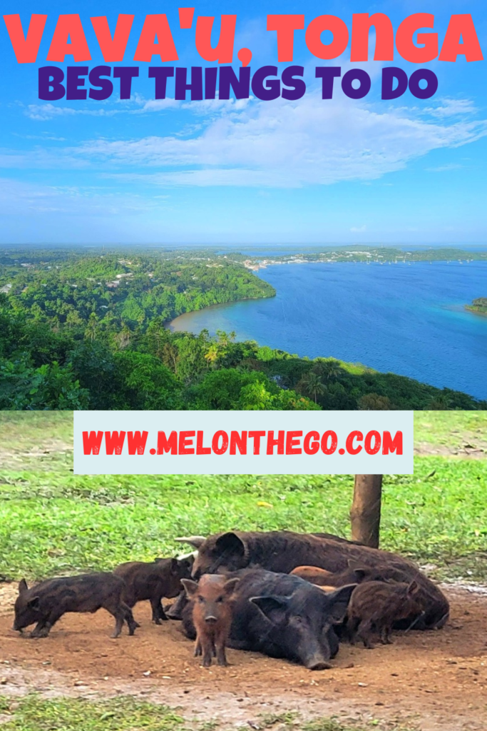 Pin Best of Vavau tonga, Ocean view, pigs