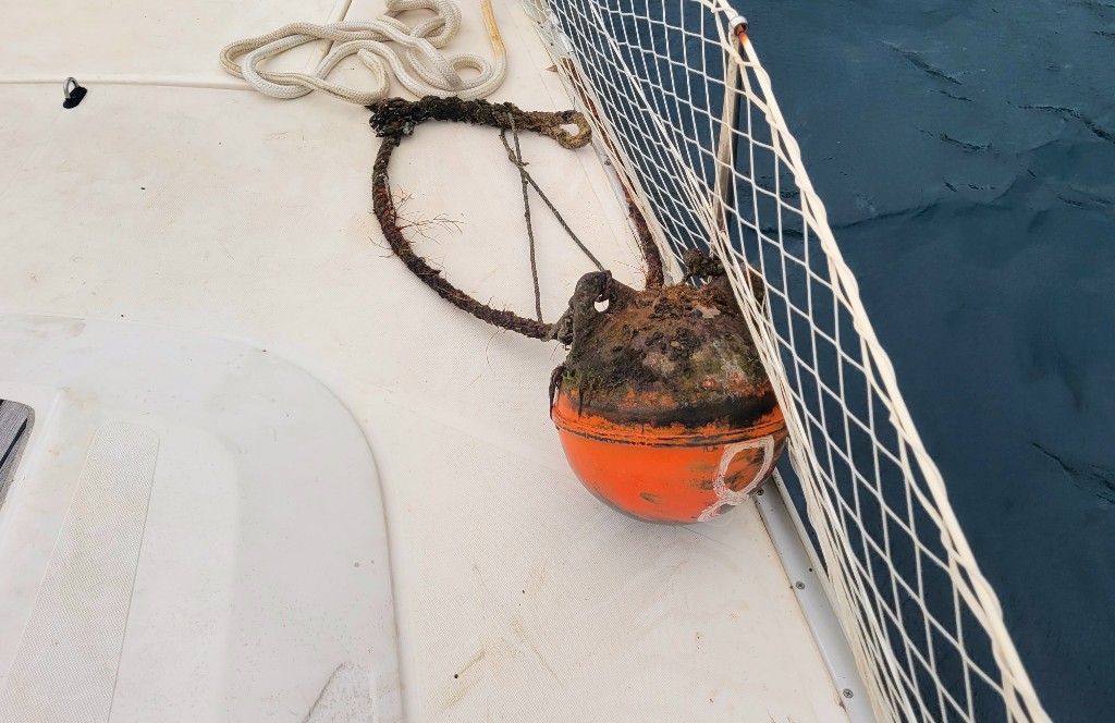 snapped mooring, Savusavu, sailboat