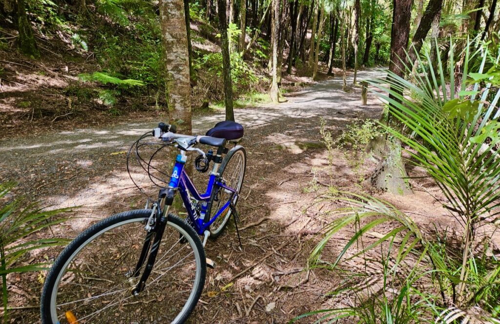 bicycle on a trail, forest path