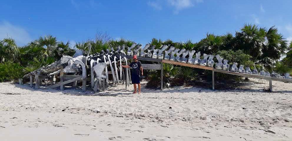 Brian whale bones Exuma Cays Land and Sea Park