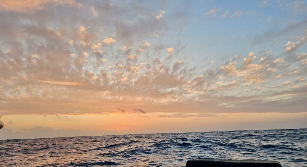 sailing to New Zealand, sunset