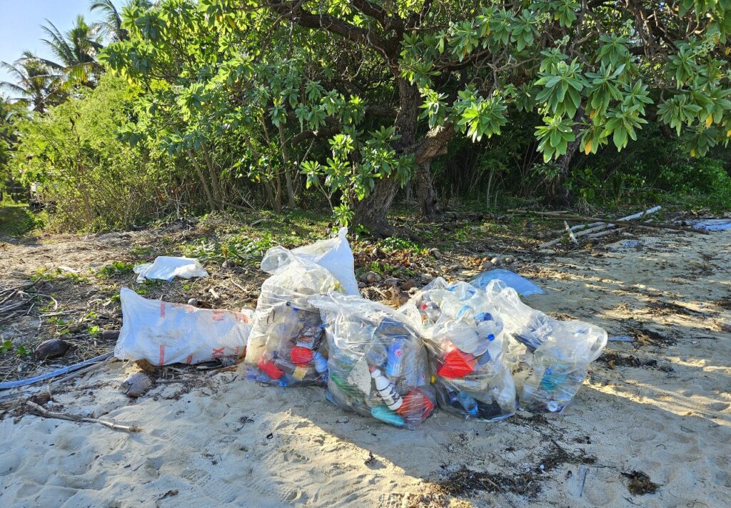 beach clean up, trash, rubbish, garbage bags