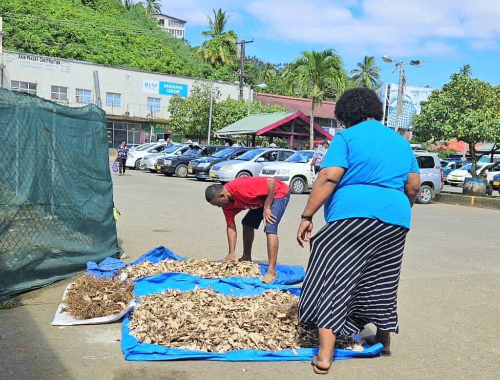 Kava, Fiji