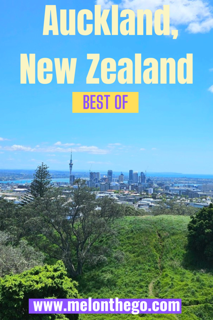 Auckland Favorites pin, Mount Eden