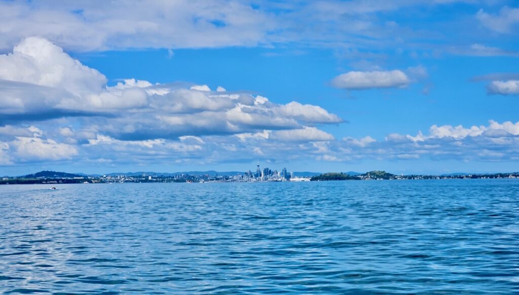 Auckland city from the water