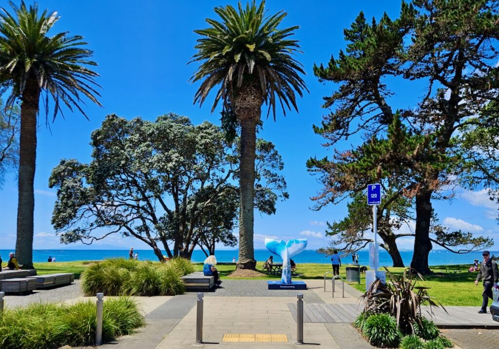 Browns Bay New Zealand