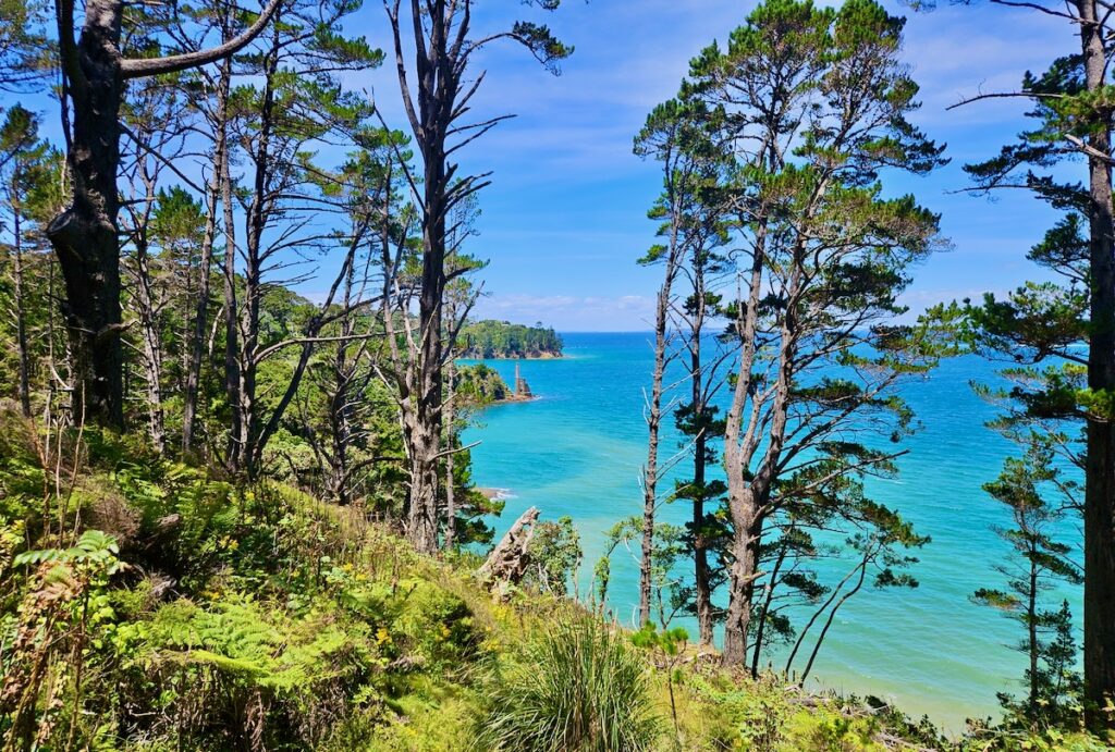 View, hike, Kawau Island, New Zealand