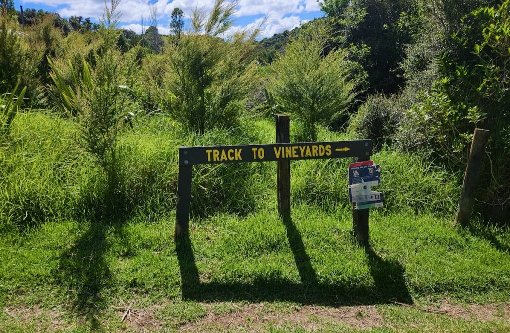 winery trail Waiheke, Auckland