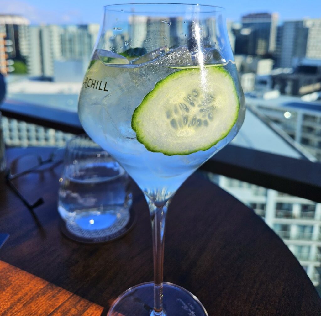 cheers! gin and cucumber cocktail rooftop view 