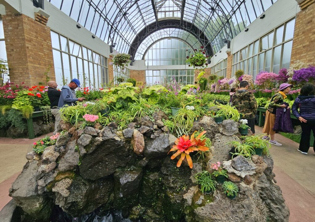 Domain wintergarden, Flowers, Auckland