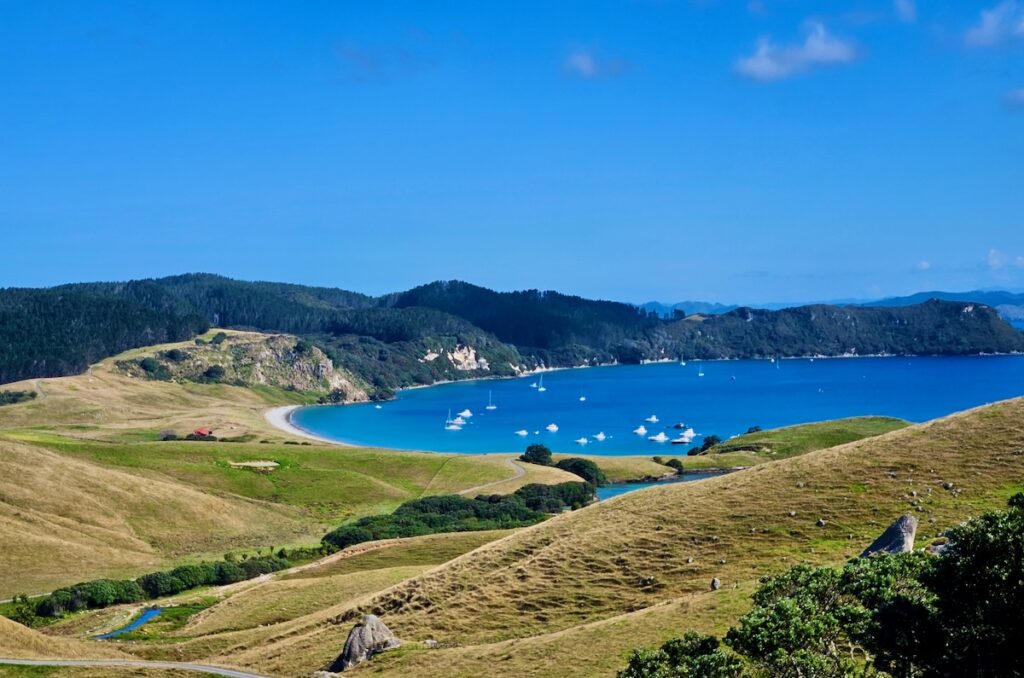 anchorage, Great Mercury Island, New Zealand