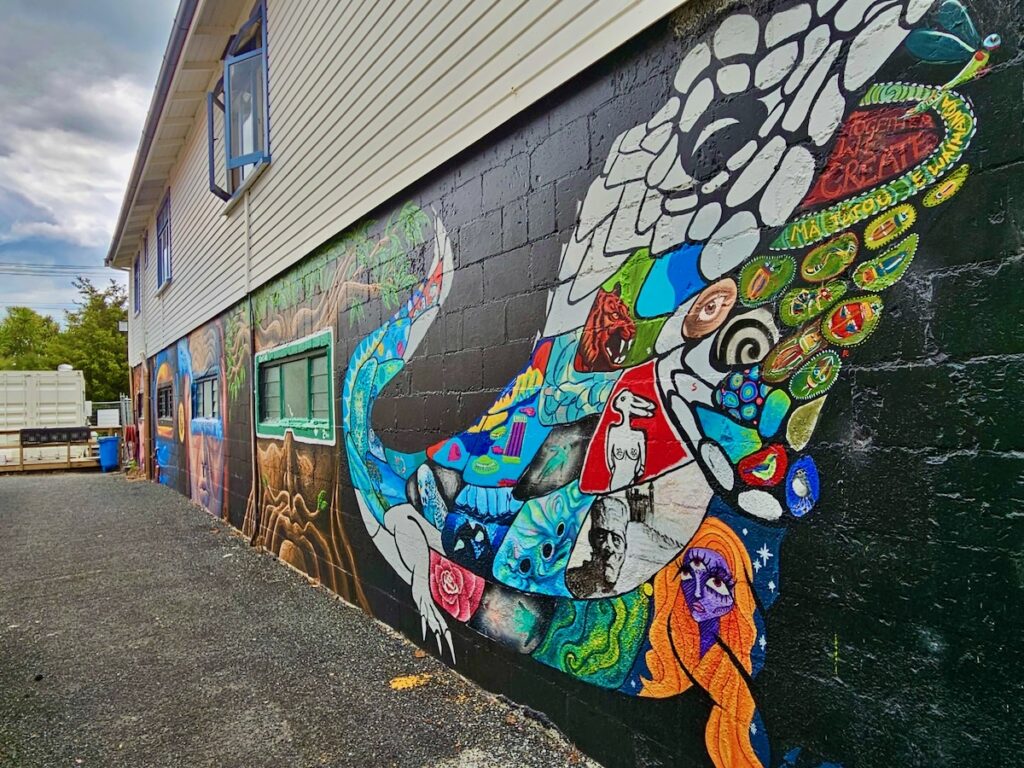 mural, lizard street art