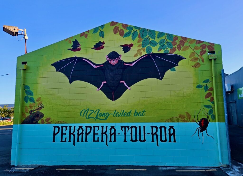 New Zealand bat, mural