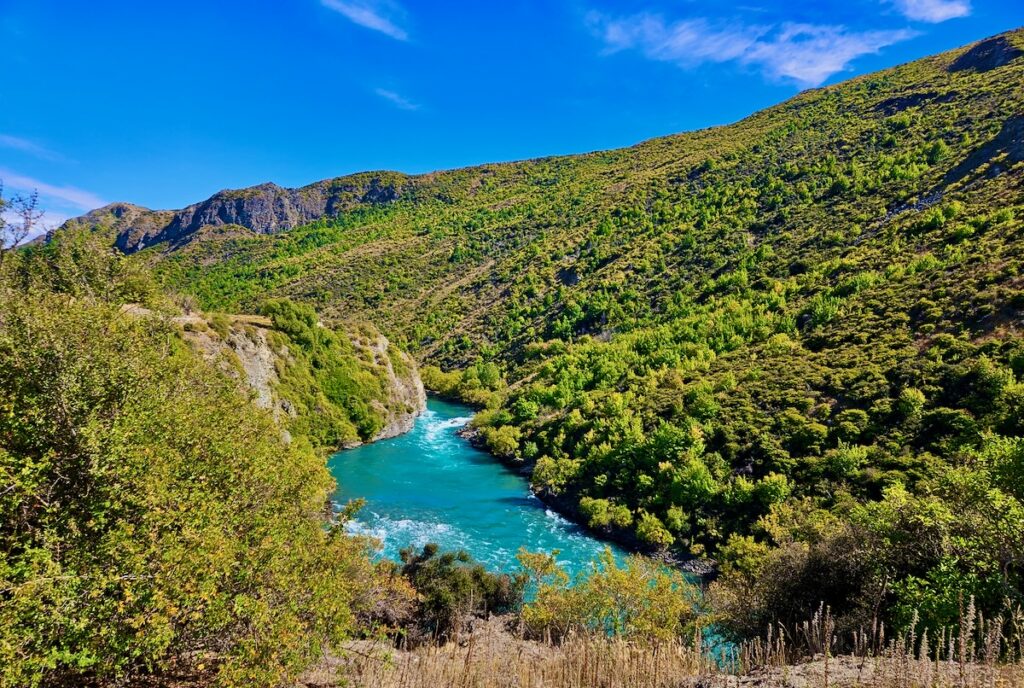 river view, green trees blue river