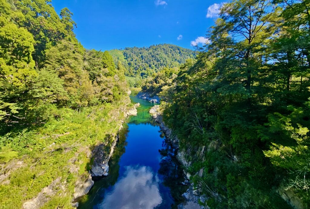 Pelorus River, New Zealand