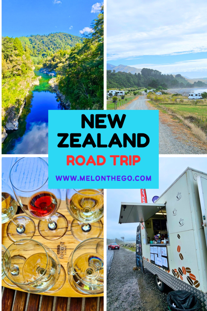 New Zealand Road Trip Pin