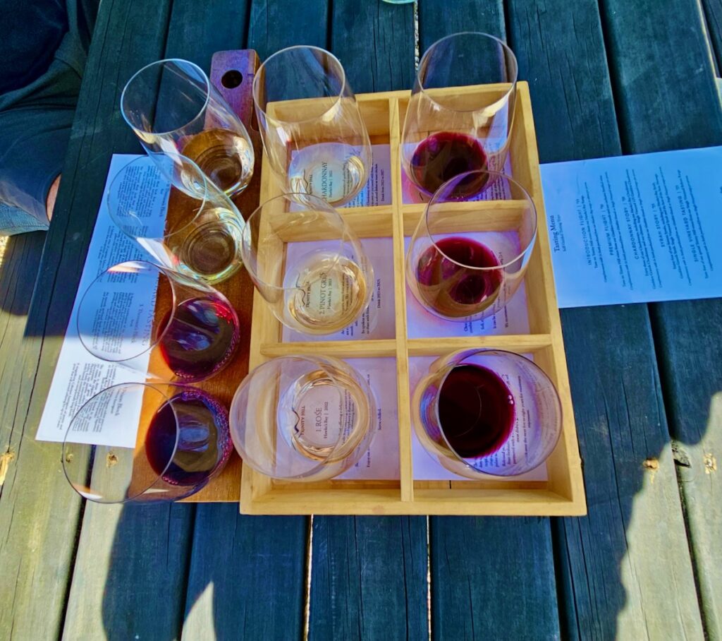 wine tasting glasses