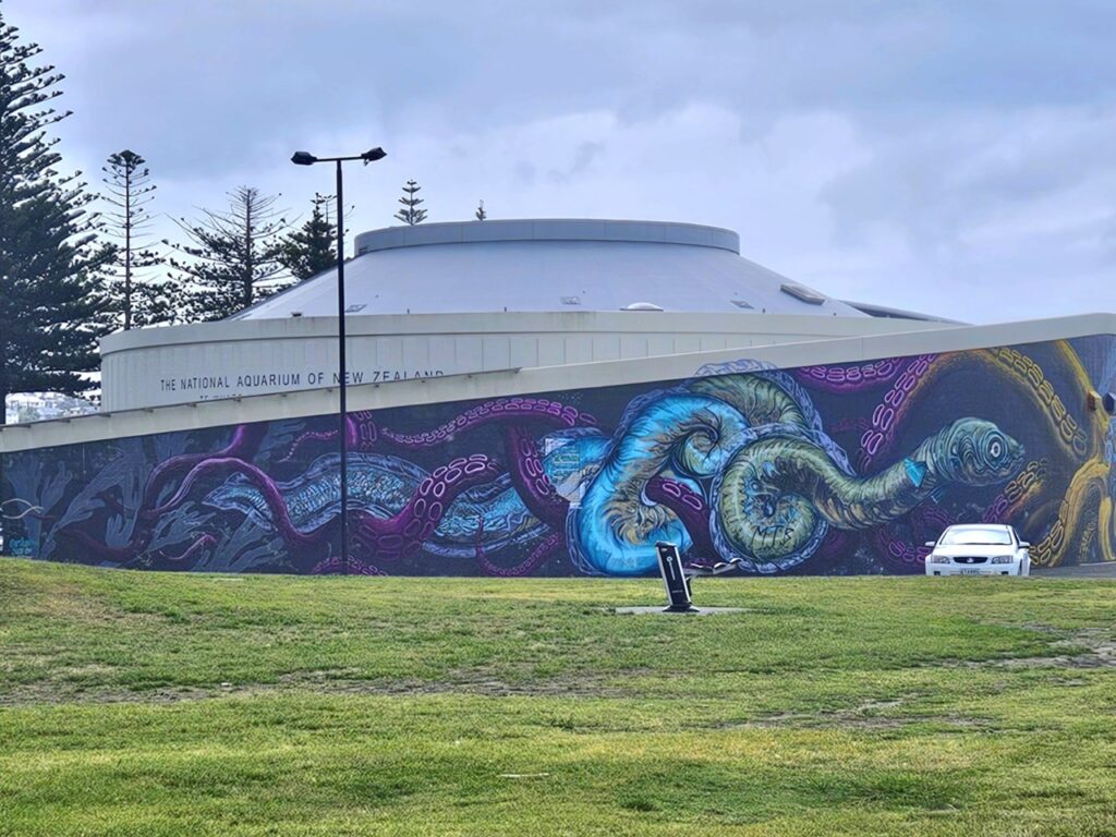 Napier Aquarium mural