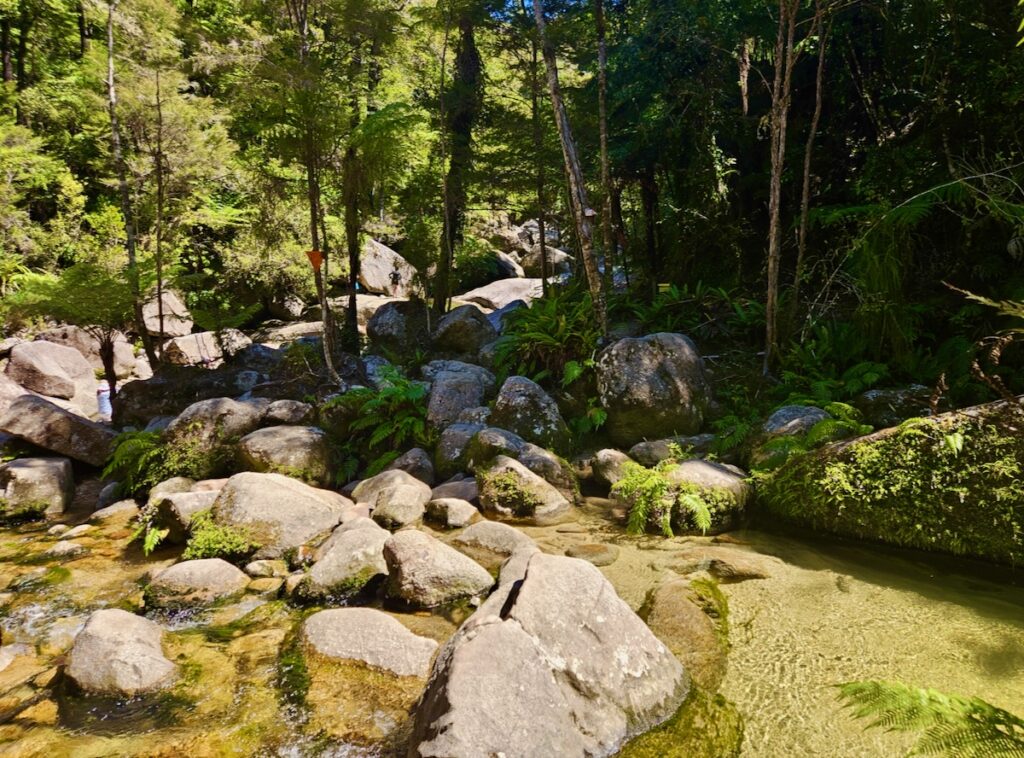 Hiking trail with boulders, Abel Tasman, New Zealand