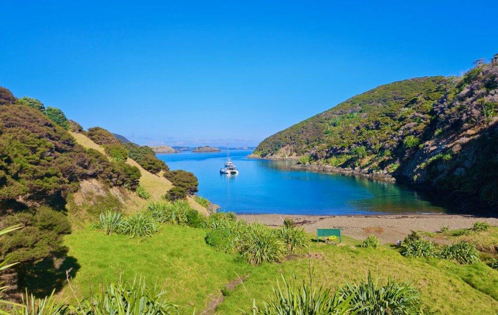 catamaran anchored in bay surrounded by green hills