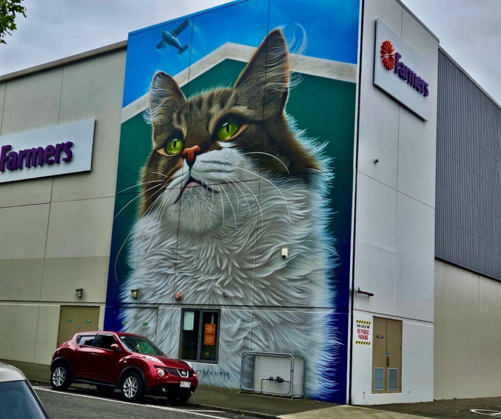 Cat street art of New Zealand