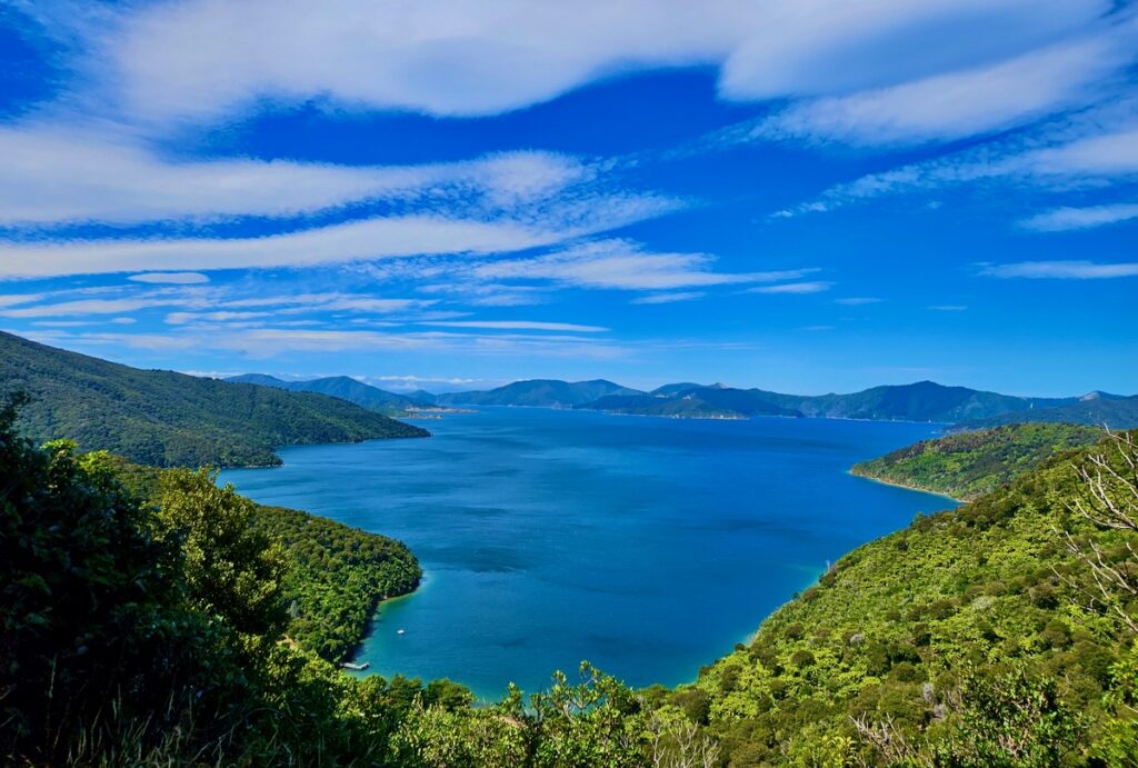 Hike view, water, Marlborough Sounds