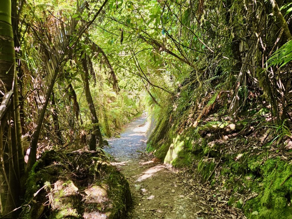 hiking trail Greymouth South Island