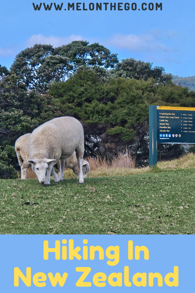 hiking past sheep pin