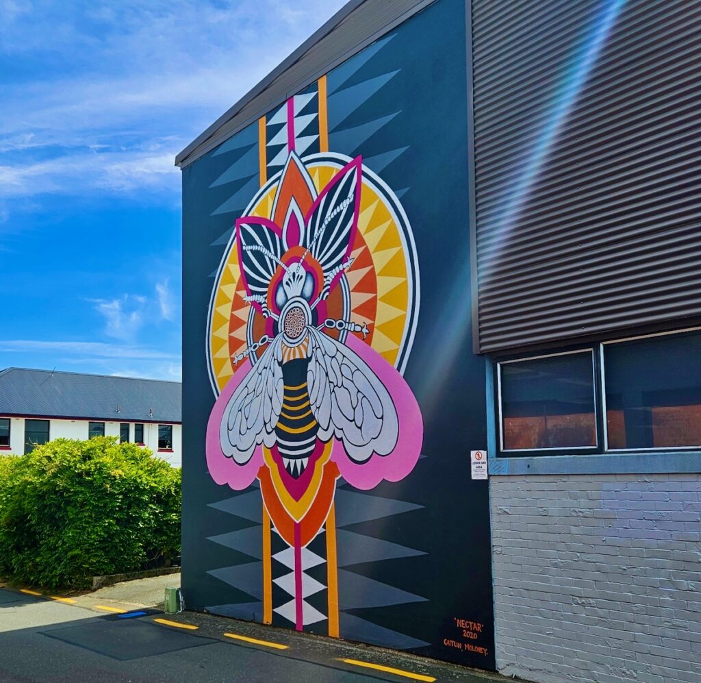 Street Art in New Zealand's North Island Taupo