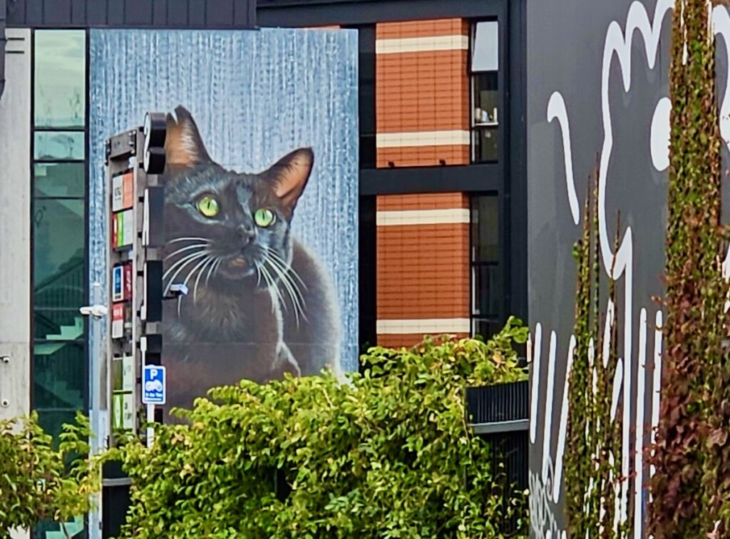 Cat mural, Christchurch, NZ