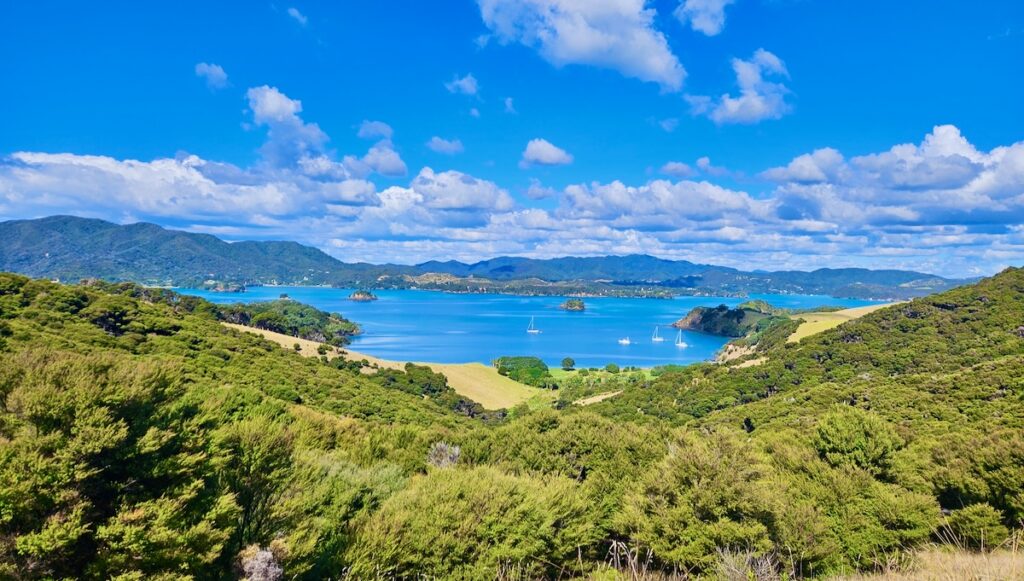 Sailboats in a bay from a green island, Bay of Islands