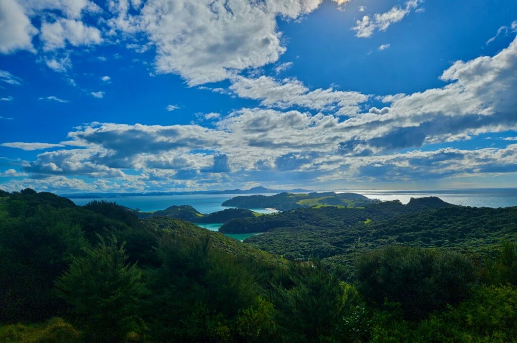 Cruising the Bay of Islands view