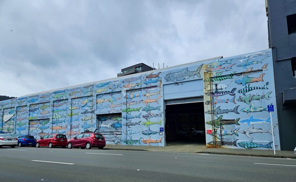 shark wall, street art in New Zealand's North Island