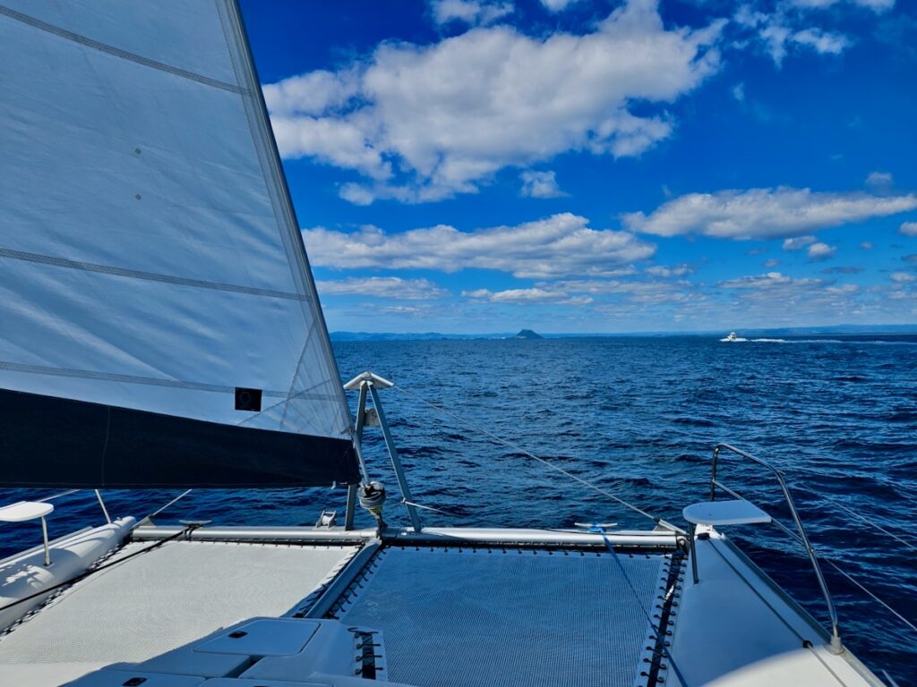 sailing in New Zealand