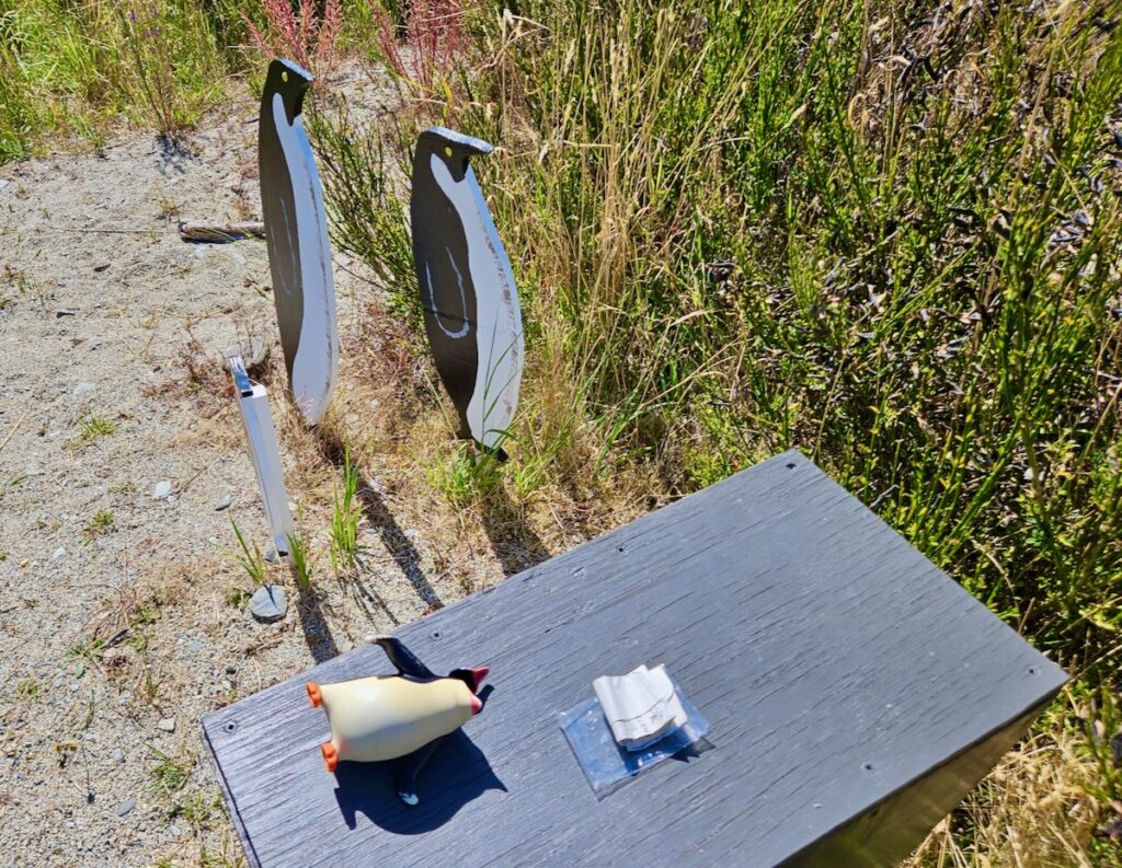 Penguin geocache in Kingston New Zealand