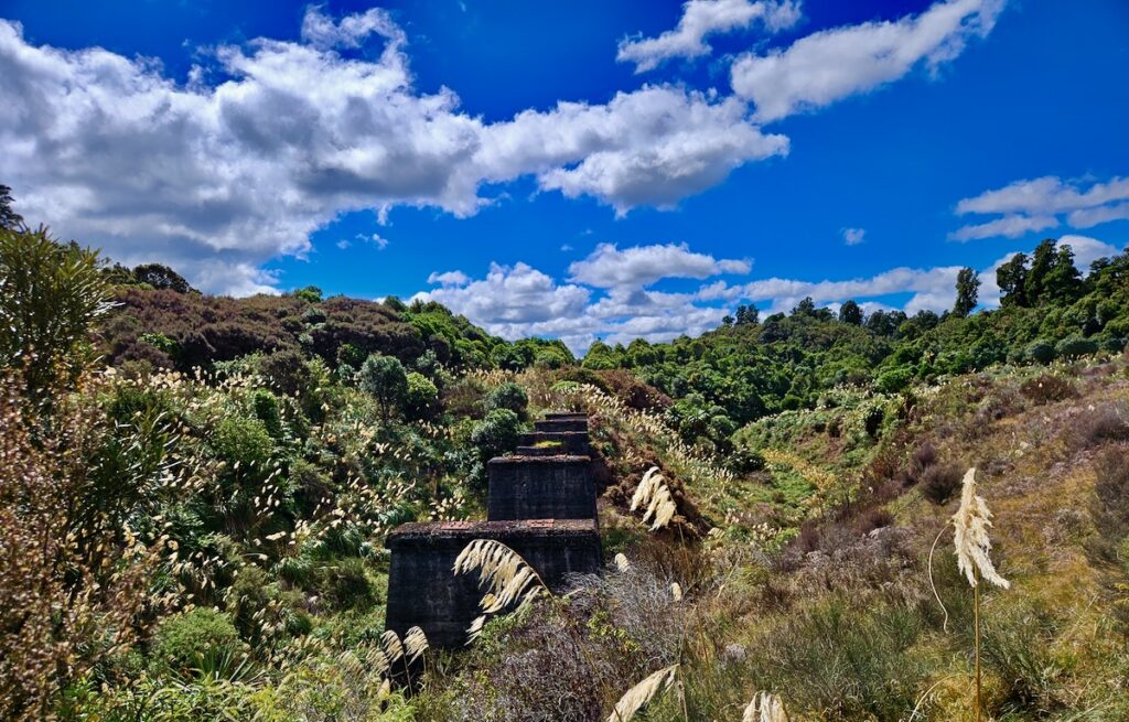 Old Coach road trail, Cycling in New Zealand