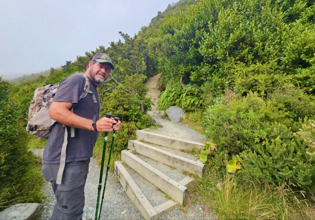 Sealy Tarns hike steps