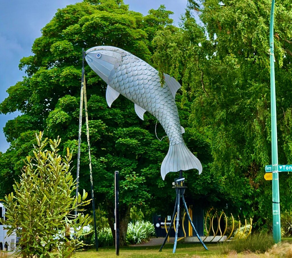 Big trout, Taupo