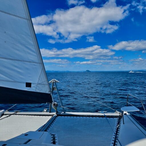 sailing in New Zealand