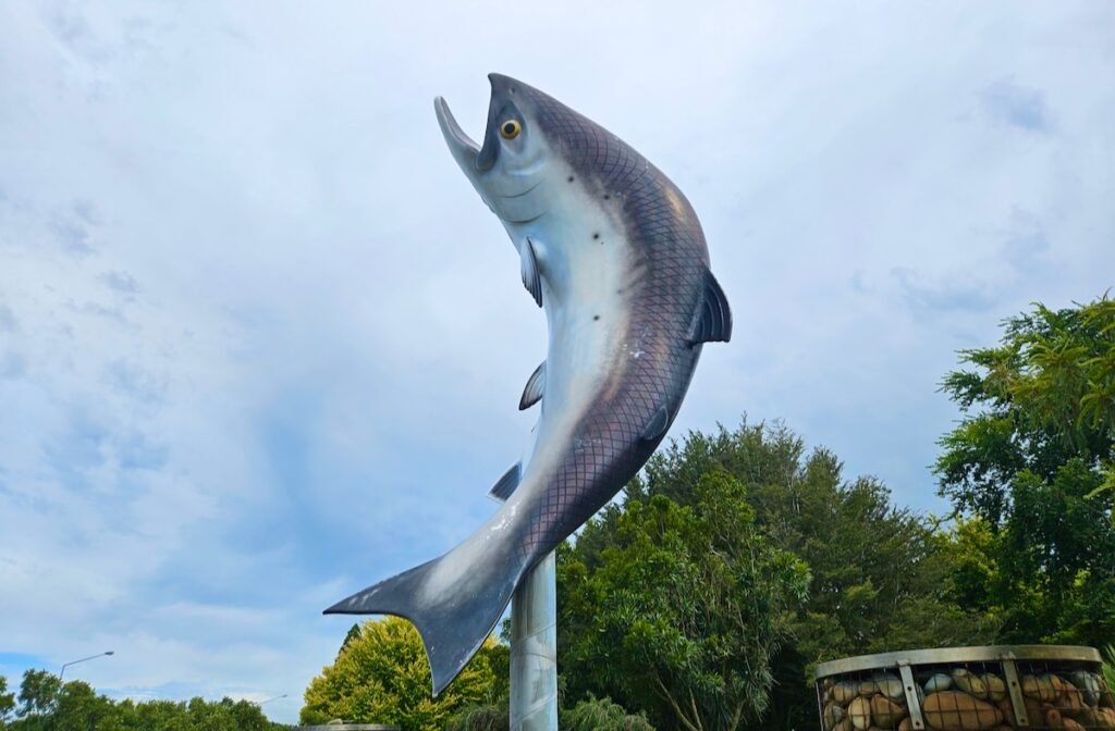 Giant Salmon, Rakaia New Zealand quirky attractions