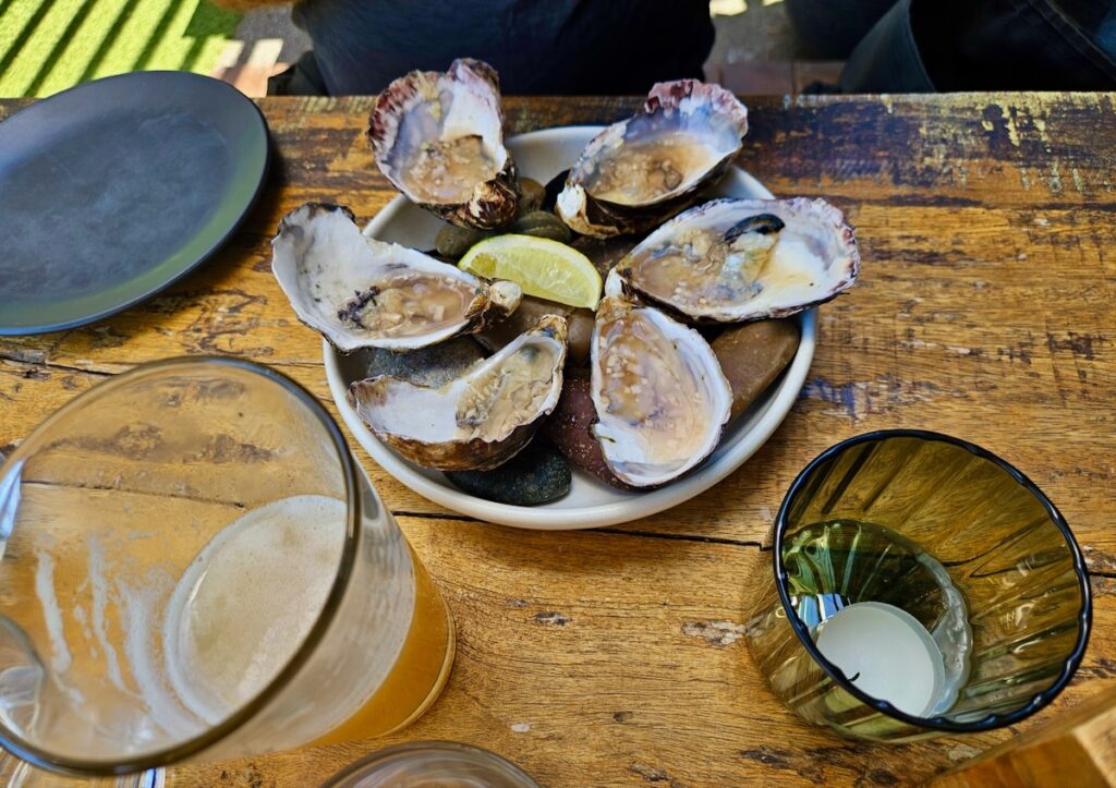 oysters, restaurant New Zealand