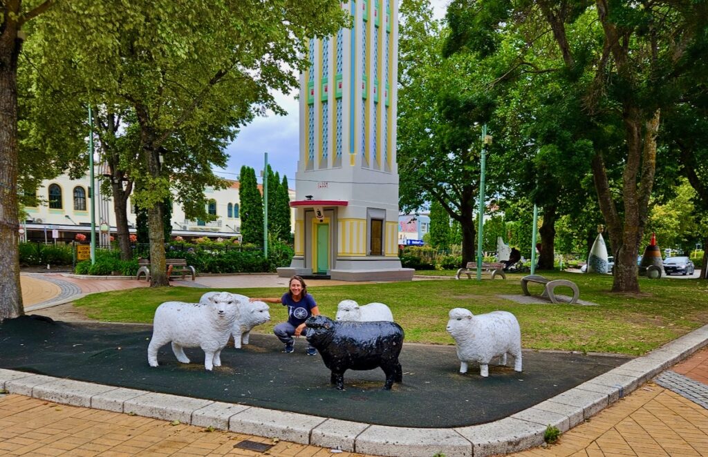 sheep sculptures, New Zealand