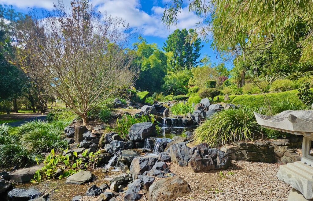 water feature at Bundaberg Botanic Garden