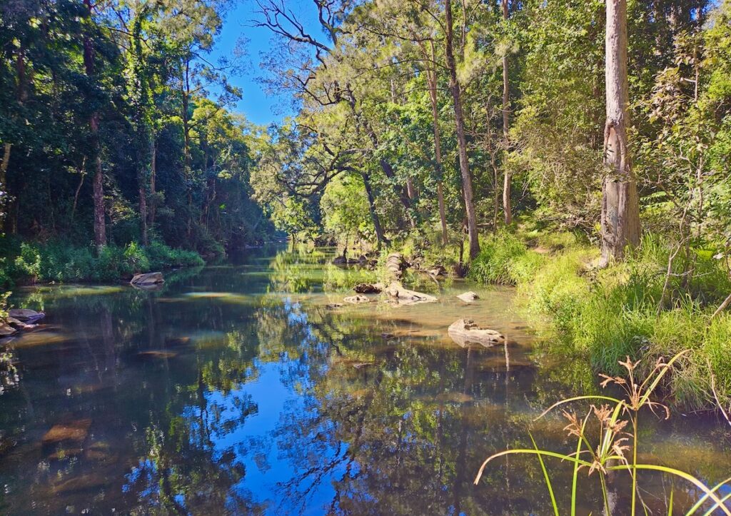 Broken River Eungella