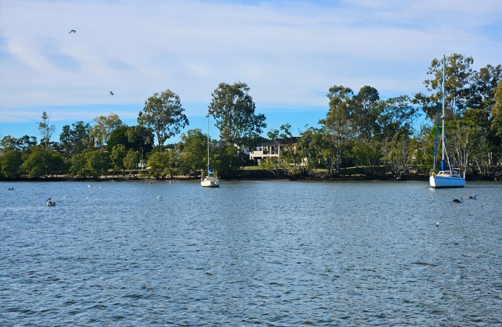 sailboats anchored in Brisbane