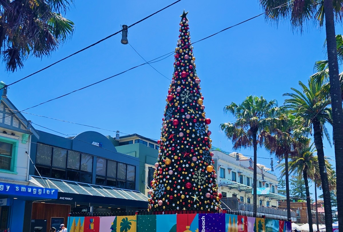 Christmas tree in Manly